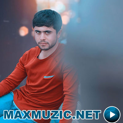 Narek Davtyan - Hishum em
